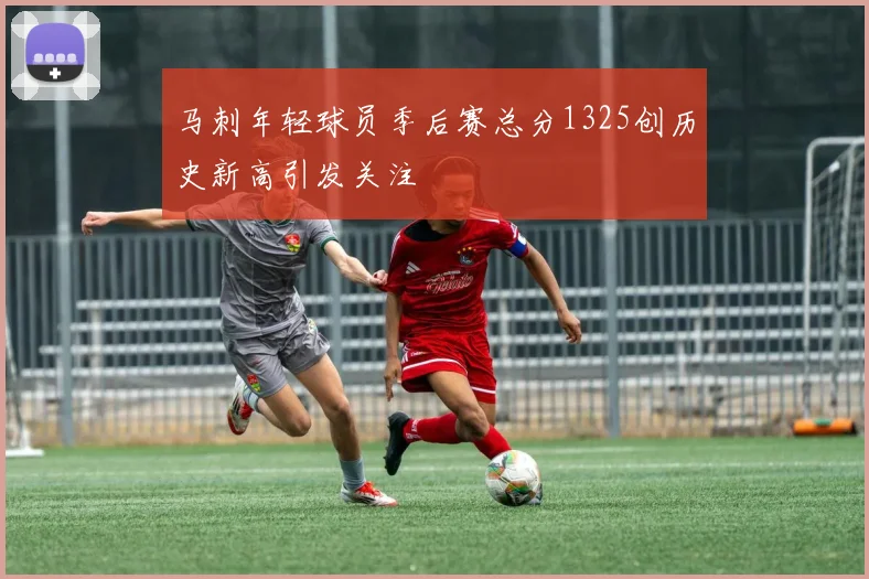 马刺年轻球员季后赛总分1325创历史新高引发关注